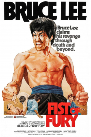 Zzzzz 1741225644img7177 — Martial Arts Movies option 39