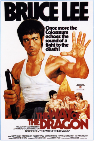 Zzzzz 1741225644img7178 — Martial Arts Movies option 40