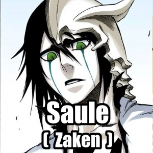 Saule — Tier List OP v2 (LAO) option 48