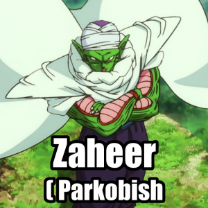 Zaheer — Tier List OP v2 (LAO) option 65
