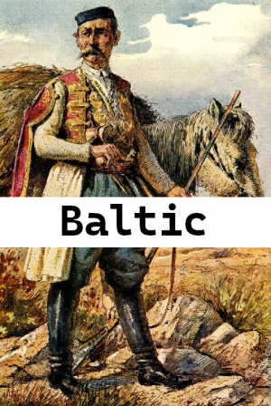 Balt — MyLittlePony TierList option 7
