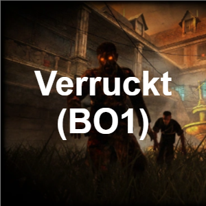 Every single Cod Zombies map (WAW-BO6) — option 4