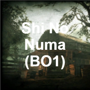 Every single Cod Zombies map (WAW-BO6) — option 5