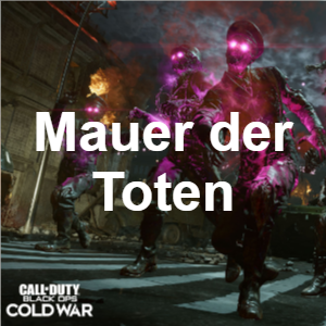 Every single Cod Zombies map (WAW-BO6) — option 43