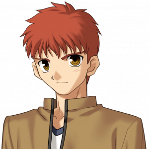 Shirou — Fate/stay night & hollow ataraxia characters option 29
