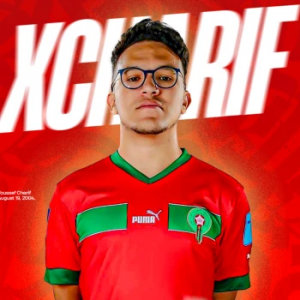 9b2eb0fc 3cc1 4b19 Ab0e C424fee2e059 Fullsize — Moroccan Streamers option 38