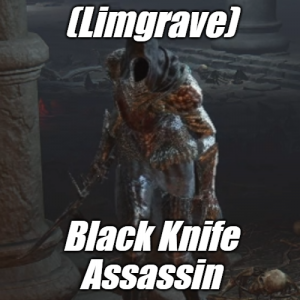 Limgraveblack Knife Assassin — Elden Ring ALL 207 Bosses (including dlc) option 3