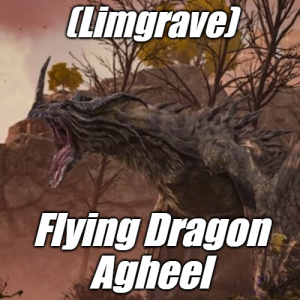 Limgraveflying Dragon Agheel — Elden Ring ALL 207 Bosses (including dlc) option 9