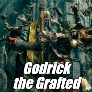 Limgravegodrick The Grafted — Elden Ring ALL 207 Bosses (including dlc) option 10
