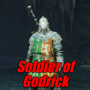 Limgravesoldier Of Godrick — Elden Ring ALL 207 Bosses (including dlc) option 18