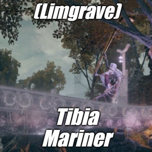 Limgravetibia Mariner — Elden Ring ALL 207 Bosses (including dlc) option 20