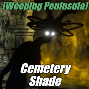 Zzzzz 1745397623peninsulacemetery Shade — Elden Ring ALL 207 Bosses (including dlc) option 24