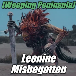 Zzzzz 1745397623peninsulaleonine Misbegotten — Elden Ring ALL 207 Bosses (including dlc) option 28