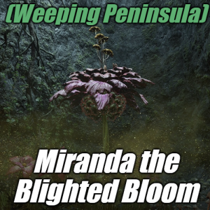 Zzzzz 1745397623peninsulamiranda The Blighted Bloom — Elden Ring ALL 207 Bosses (including dlc) option 29