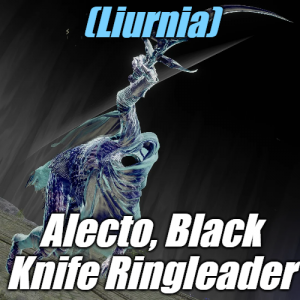 Zzzzz 1745397678liurniaalecto Black Knife Ringleader — Elden Ring ALL 207 Bosses (including dlc) option 38