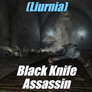 Zzzzz 1745397678liurniablack Knife Assassin — Elden Ring ALL 207 Bosses (including dlc) option 40
