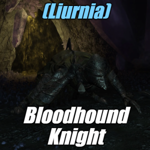 Zzzzz 1745397678liurniabloodhound Knight — Elden Ring ALL 207 Bosses (including dlc) option 41