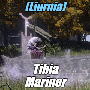 Zzzzz 1745397678liurniatibia Mariner — Elden Ring ALL 207 Bosses (including dlc) option 48