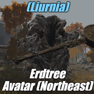 Zzzzz 1745397679liurniaerdtree Avatar Northeast — Elden Ring ALL 207 Bosses (including dlc) option 52