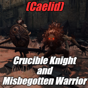Zzzzz 1745397759caelidcrucible And Misbegotten — Elden Ring ALL 207 Bosses (including dlc) option 65