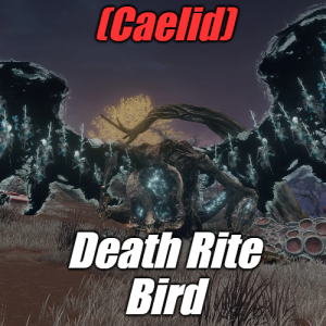 Zzzzz 1745397759caeliddeath Rite Bird — Elden Ring ALL 207 Bosses (including dlc) option 66