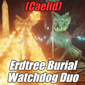 Zzzzz 1745397759caeliderdtree Burial Watchdogs — Elden Ring ALL 207 Bosses (including dlc) option 68