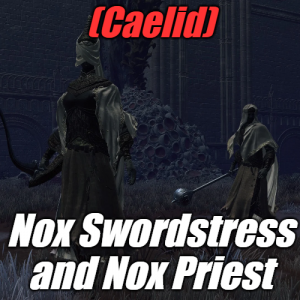 Zzzzz 1745397759caelidnox Duo — Elden Ring ALL 207 Bosses (including dlc) option 74