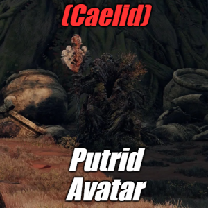 Zzzzz 1745397760caelidputrid Avatar — Elden Ring ALL 207 Bosses (including dlc) option 75