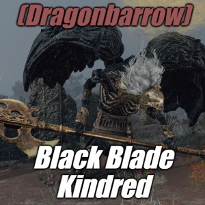 Zzzzz 1745397818dragonbarrowblack Blade Kindred — Elden Ring ALL 207 Bosses (including dlc) option 80