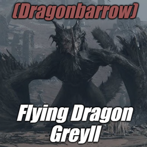 Zzzzz 1745397818dragonbarrowflying Dragon Agheel — Elden Ring ALL 207 Bosses (including dlc) option 82