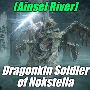 Zzzzz 1745397899ainseldragonkin Soldier Of Nokstella — Elden Ring ALL 207 Bosses (including dlc) option 88