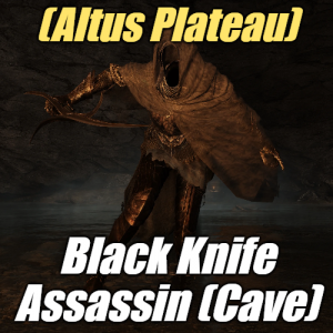 Zzzzz 1745397952altusblack Knife Assassin Cave — Elden Ring ALL 207 Bosses (including dlc) option 94
