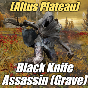 Zzzzz 1745397952altusblack Knife Assassin Grave — Elden Ring ALL 207 Bosses (including dlc) option 95