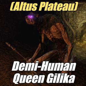 Zzzzz 1745397952altusdemi Human Queen Gilika — Elden Ring ALL 207 Bosses (including dlc) option 97