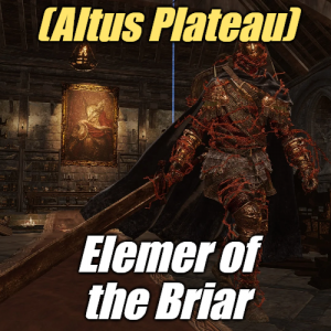 Zzzzz 1745397952altuselemer Of The Briar — Elden Ring ALL 207 Bosses (including dlc) option 98