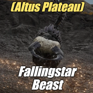 Zzzzz 1745397952altusfallingstar Beast — Elden Ring ALL 207 Bosses (including dlc) option 100