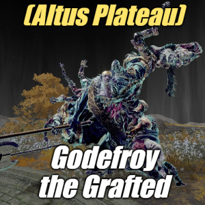 Zzzzz 1745397953altusgodefroy The Grafted — Elden Ring ALL 207 Bosses (including dlc) option 101