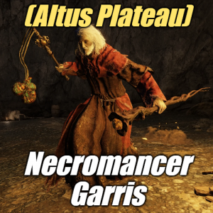 Zzzzz 1745397953altusnecromancer Garris — Elden Ring ALL 207 Bosses (including dlc) option 103