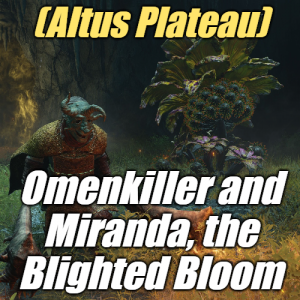 Zzzzz 1745397953altusomenkiller Miranda — Elden Ring ALL 207 Bosses (including dlc) option 105
