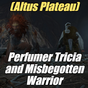 Zzzzz 1745397953altusperfumer Tricia Misbegotten — Elden Ring ALL 207 Bosses (including dlc) option 106