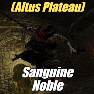 Zzzzz 1745397953altussanguine Noble — Elden Ring ALL 207 Bosses (including dlc) option 107