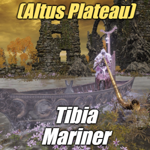Zzzzz 1745397953altustibia Mariner — Elden Ring ALL 207 Bosses (including dlc) option 109