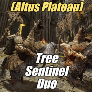 Zzzzz 1745397953altustree Sentinel Duo — Elden Ring ALL 207 Bosses (including dlc) option 110