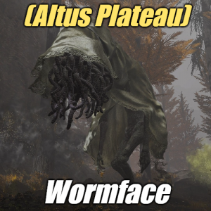 Zzzzz 1745397953altuswormface — Elden Ring ALL 207 Bosses (including dlc) option 111
