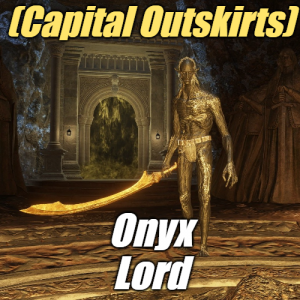 Zzzzz 1745398039capitalonyx Lord — Elden Ring ALL 207 Bosses (including dlc) option 128