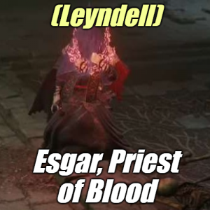 Zzzzz 1745398102leyndellesgar Priest Of Blood — Elden Ring ALL 207 Bosses (including dlc) option 134