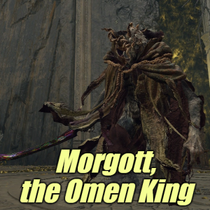 Zzzzz 1745398102leyndellmorgott The Omen King — Elden Ring ALL 207 Bosses (including dlc) option 137