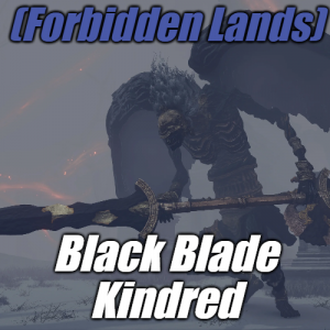 Zzzzz 1745398147forbiddenblack Blade Kindred — Elden Ring ALL 207 Bosses (including dlc) option 138