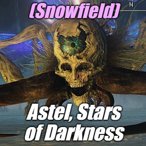 Zzzzz 1745398290snowfieldastel Stars Of Darkness — Elden Ring ALL 207 Bosses (including dlc) option 154