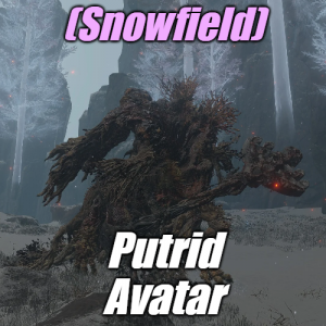Zzzzz 1745398290snowfieldputrid Avatar — Elden Ring ALL 207 Bosses (including dlc) option 159